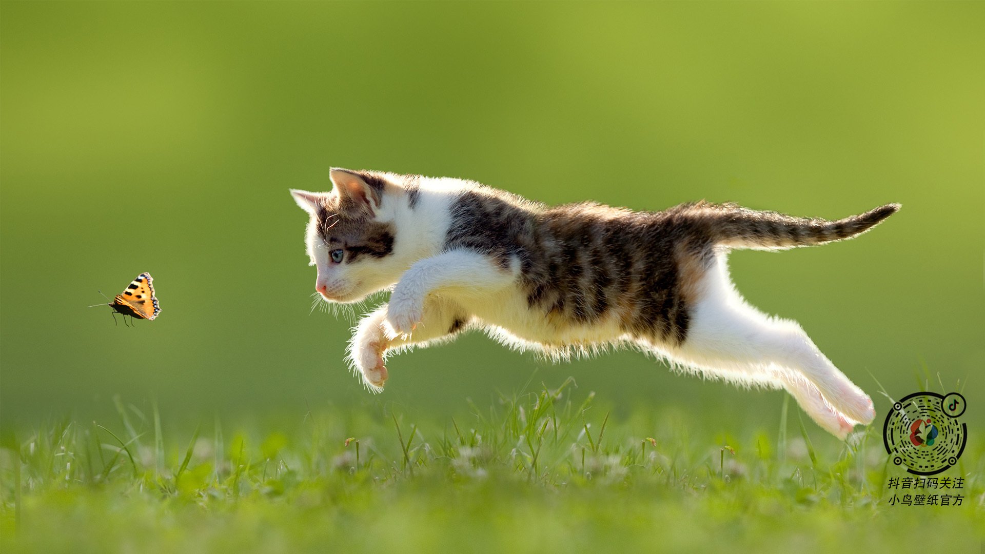 “如何完美执行3-2区域联防?战术详解”,二三区域联防教学视频