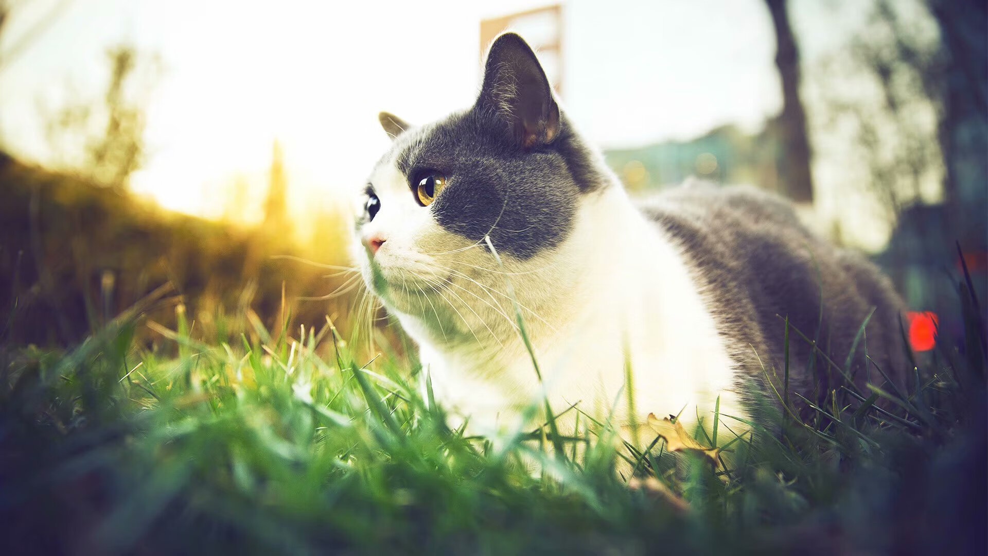 【队伍调整】赛季中期换人策略成胜负关键，啥时候换赛季