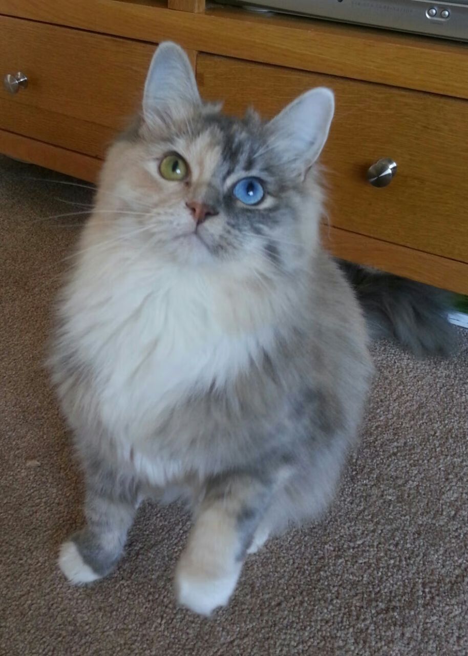 全国马拉松团队接力赛,合作赢得荣耀,2020马拉松接力赛