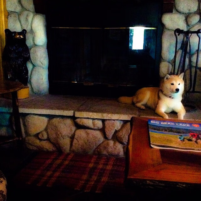 国际合作新潮流：跨国比赛与交流推动行业全球化，国际跨国合作案例