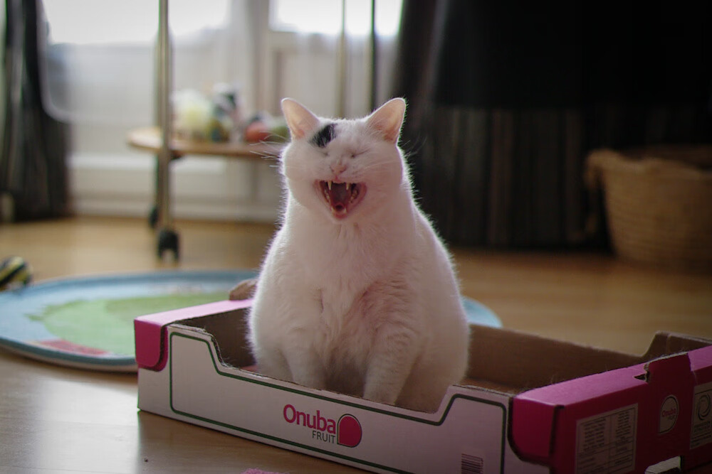 守望先锋 电竞赛事影响力不断扩大,守望先锋争霸赛2021