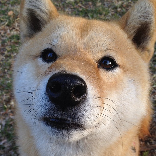 英格兰苦战120分钟艰难晋级,英格兰晋级形势