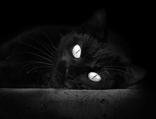 克罗地亚主帅调整战术,备战葡萄牙国家队,克罗地亚对葡萄牙比分多少