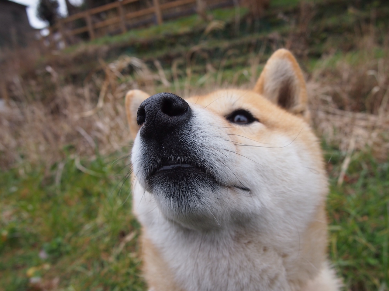 北京中赫国安队客场击败深圳佳兆业,北京中赫国安俱乐部的球员